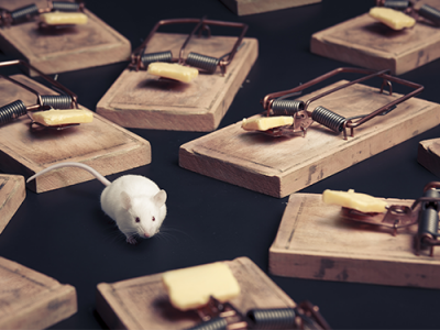 Watch 1000 Mousetraps Set Off in 4 Seconds on a Trampoline