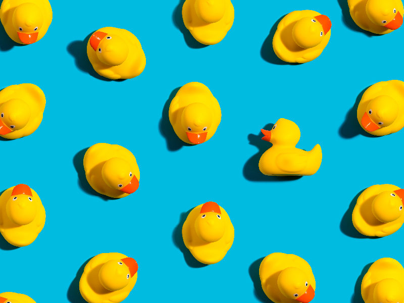 The Strange Engineering Behind Rubber Ducks. Yellow rubber ducks on a bright blue background