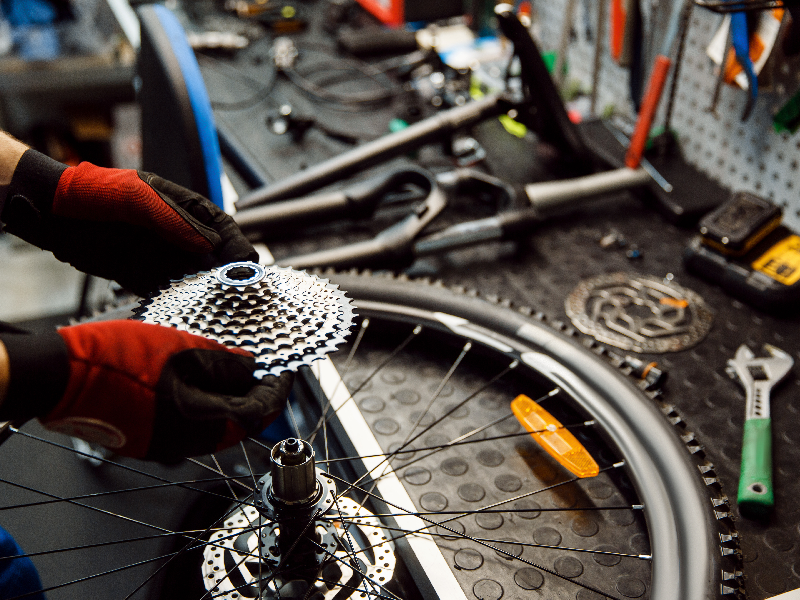 Person repairing a bike on a workbench. They're taking the gears off of the wheel.